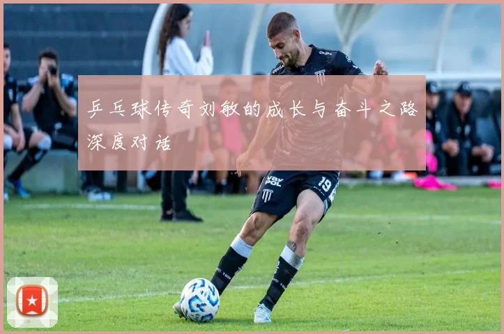 乒乓球传奇刘敏的成长与奋斗之路深度对话