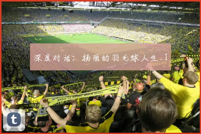 深度对话：杨丽的羽毛球人生_1