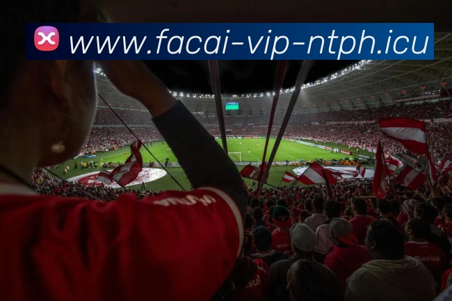 MK体育平台生态图