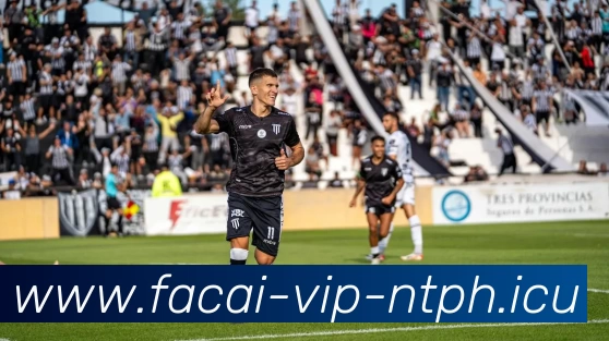 MK体育APP 封面图